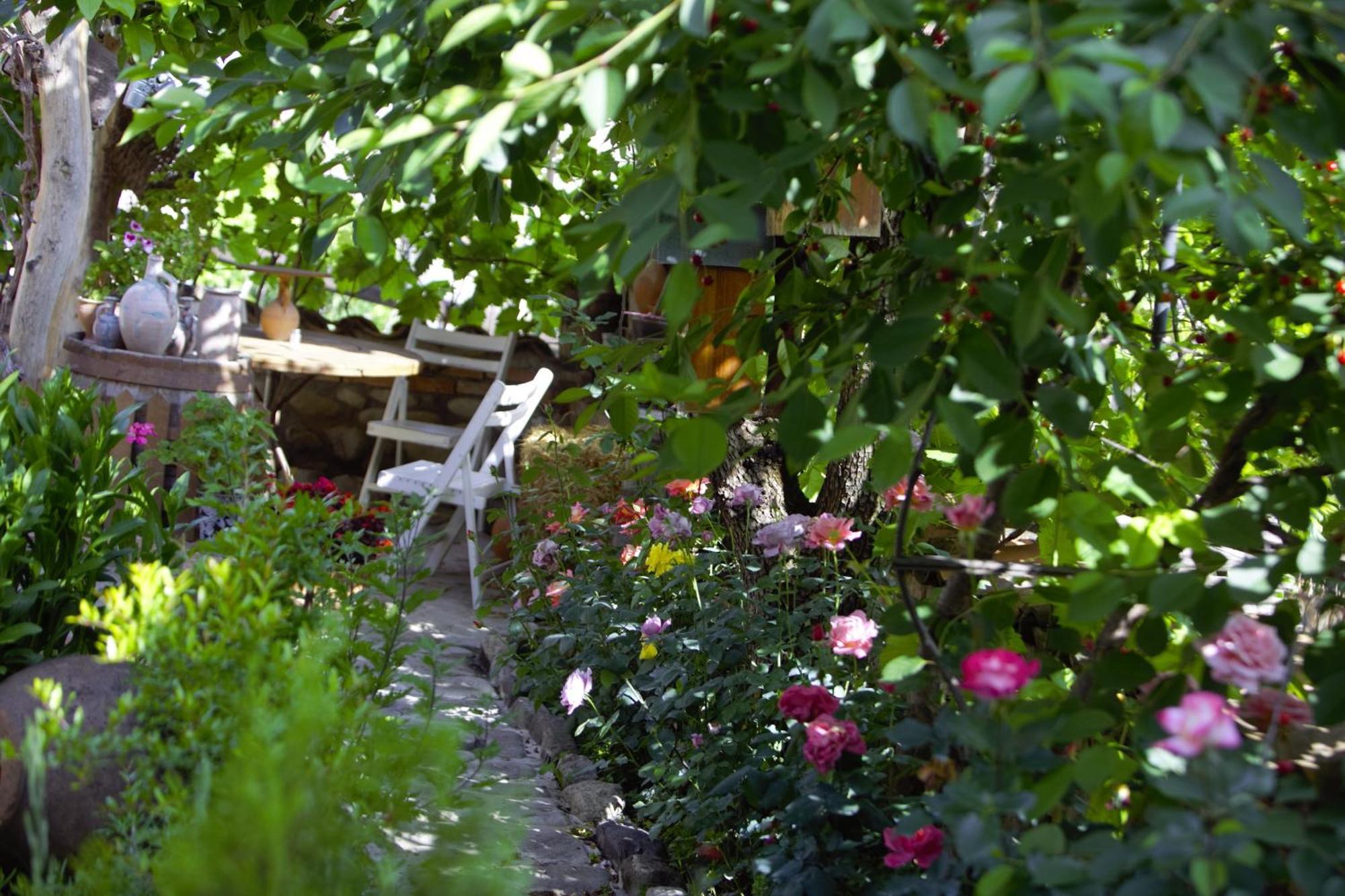 Kadori Hills Hotel Telavi Kültér fotó