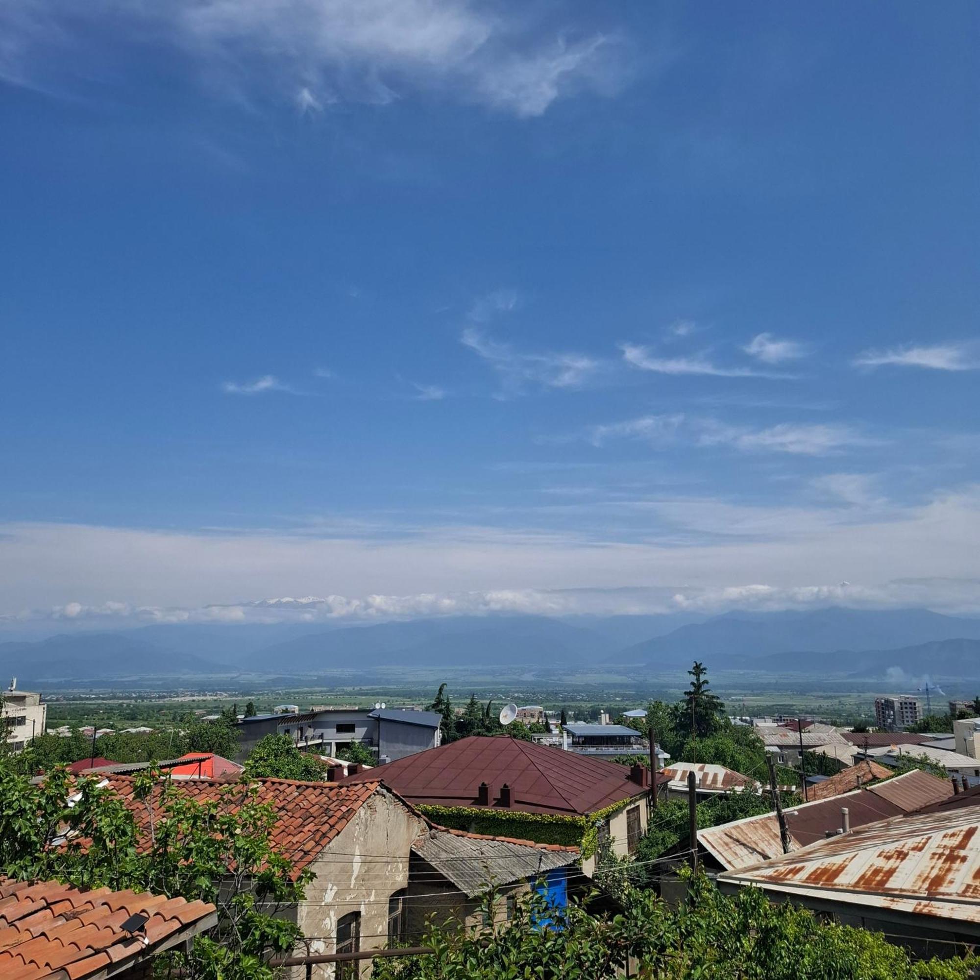 Kadori Hills Hotel Telavi Kültér fotó
